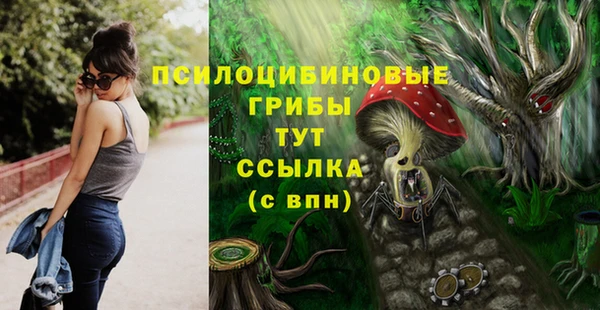 мдпв Нефтекумск