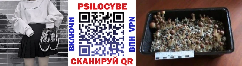 Псилоцибиновые грибы Psilocybine cubensis  Кириллов 